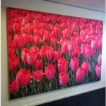 Fotopaneel textiel tulpen